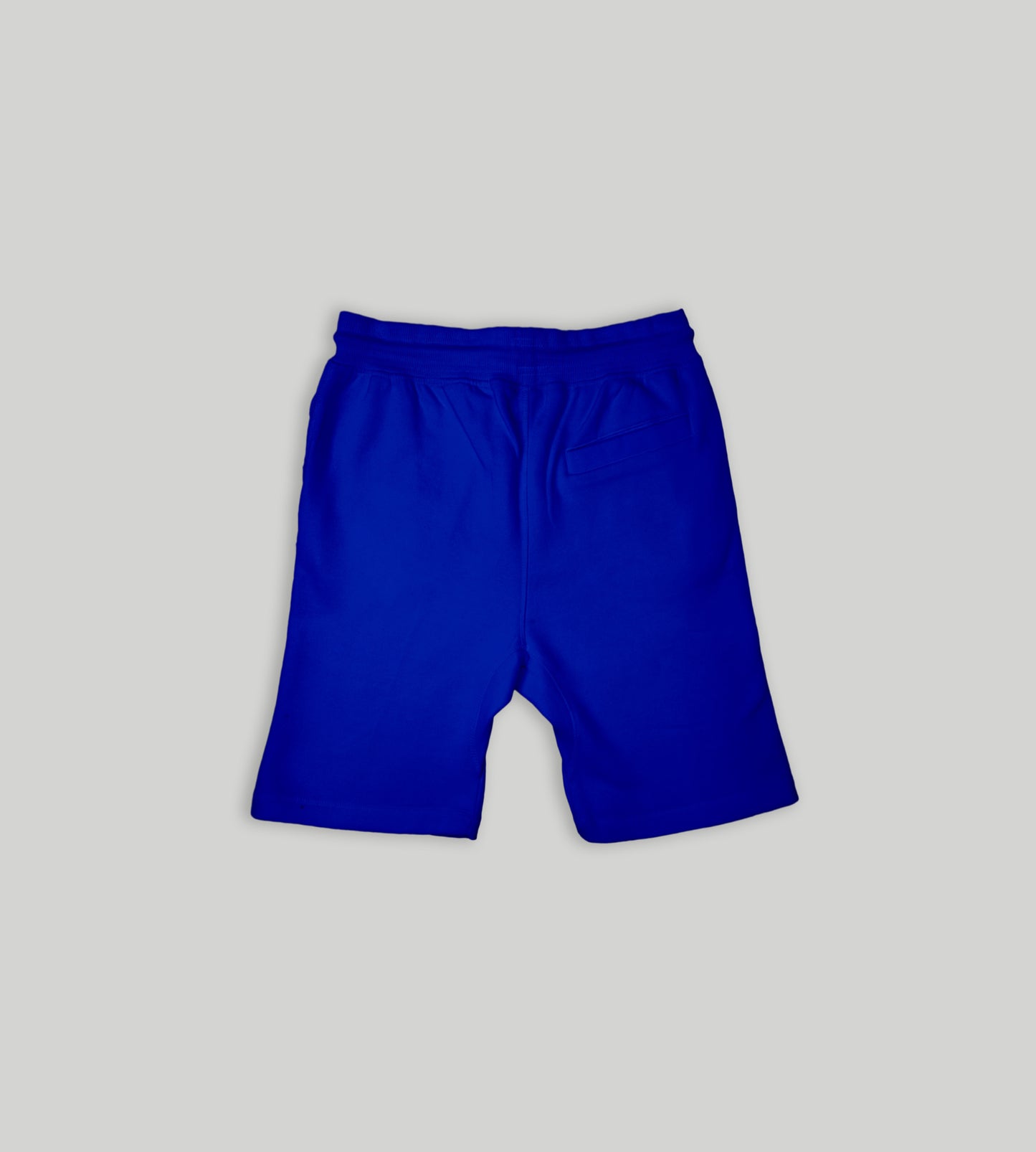 Blue Fleece Shorts